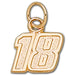 #18 NASCAR Driver 10 kt gold Pendant