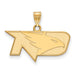 SS w/GP University of North Dakota Small Fighting Hawks Pendant