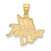 14ky The University of Tulsa Golden Hurricane Large Pendant