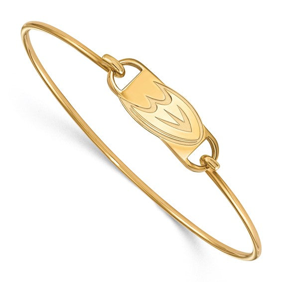 Gold-plated NHL Anaheim Ducks Letter D