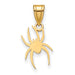 14ky Gold University of Richmond Medium Spider Pendant