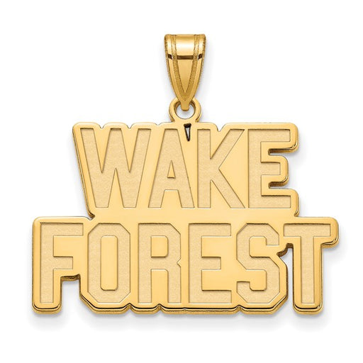 SS w/GP Wake Forest University Large WF w/deacon Pendant