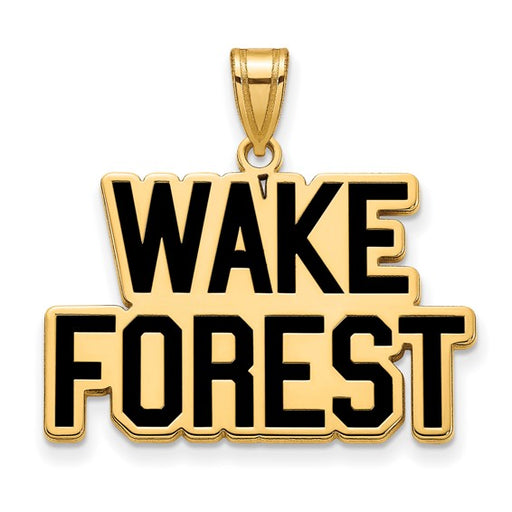 SS w/GP Wake Forest University Large Enamel Deacon Pendant