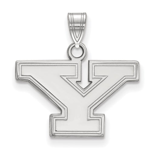 10kw Youngstown State University Small Pendant