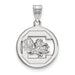 SS University of South Carolina Med Pendant in Circle