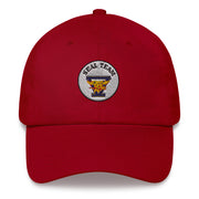 A cranberry colored Seal Team 5 Hat with the logo on the front.  The hat has a curved visor and an adjustable strap at the back.