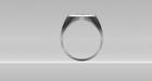 A digital rendering of the Police Ring - M216 Style viewed from the front side. The sterling silver ring showcases a smooth, rounded band and features a raised, textured area on top.