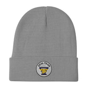 Seal Team 5 Embroidered Beanie - Gray