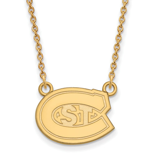 SS w/GP St. Cloud State Small Logo Pendant w/Necklace