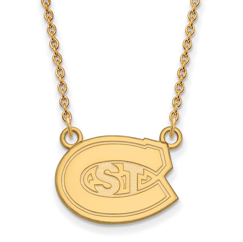 10ky St. Cloud State Small Logo Pendant w/Necklace