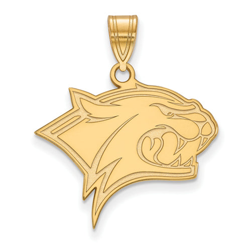 10ky University of New Hampshire Large Wildcats Pendant