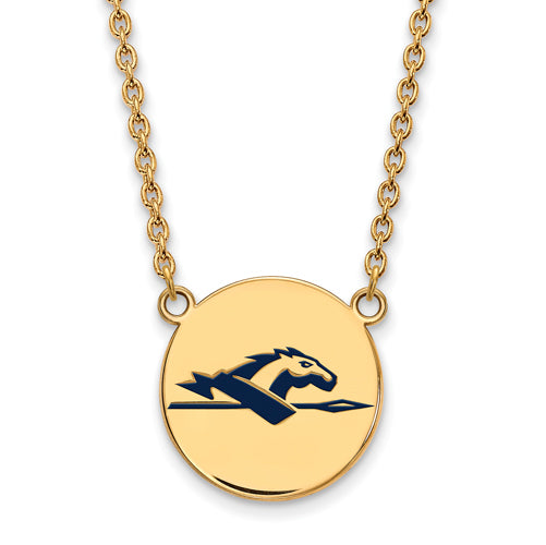 SS w/GP Longwood U Large Enamel Disc Pendant w/Necklace