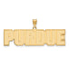 SS w/GP Purdue Large PURDUE Pendant