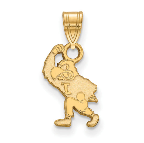 SS w/GP University of Iowa Small Hawk Mascot Pendant