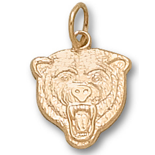 Chicago Bears logo (small)