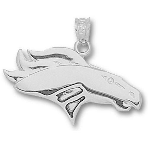 Denver Broncos Logo (large)