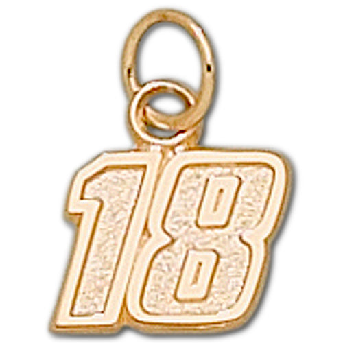 #18 NASCAR Driver 10 kt gold Pendant