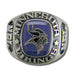 Minnesota Vikings Large Classic Silvertone NFL Ring