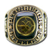 Pittsburgh Steelers Classic Goldplated NFL Ring