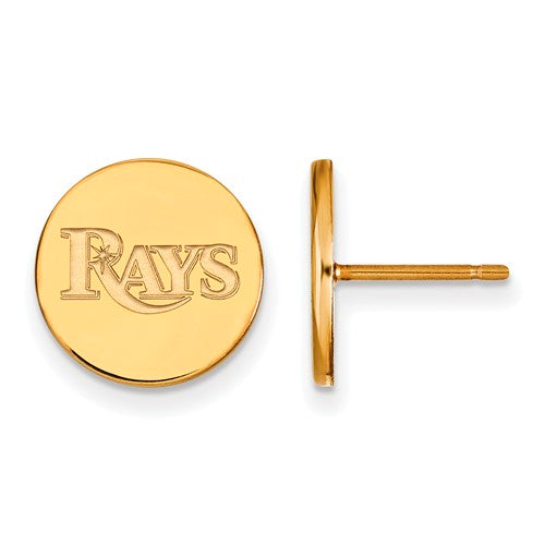 SS w/GP MLB  Tampa Bay Rays Small Logo Disc Earrings
