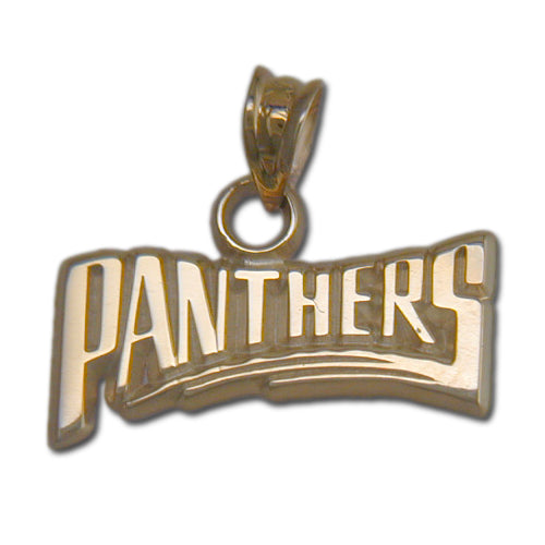 Carolina Panthers PANTHERS (small)