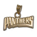 Carolina Panthers PANTHERS (small)