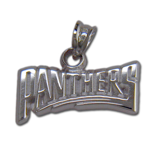 Carolina Panthers PANTHERS (small)