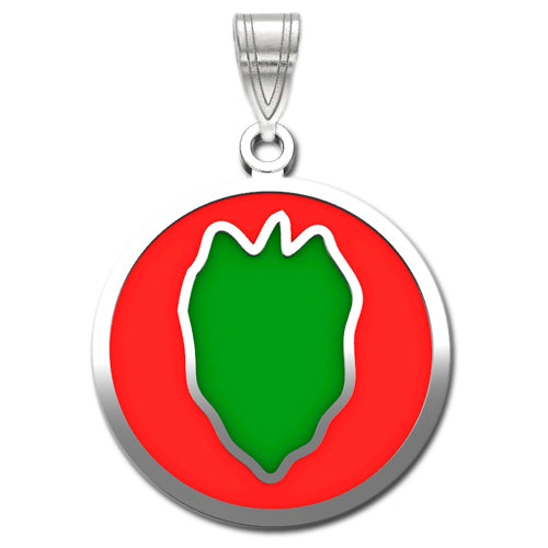 The 24th Infantry Division Sterling Silver Pendant with enamel contains a red background with a central green shape and is bordered by a thin silver line.