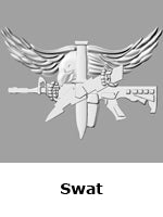 Swat Side Panel