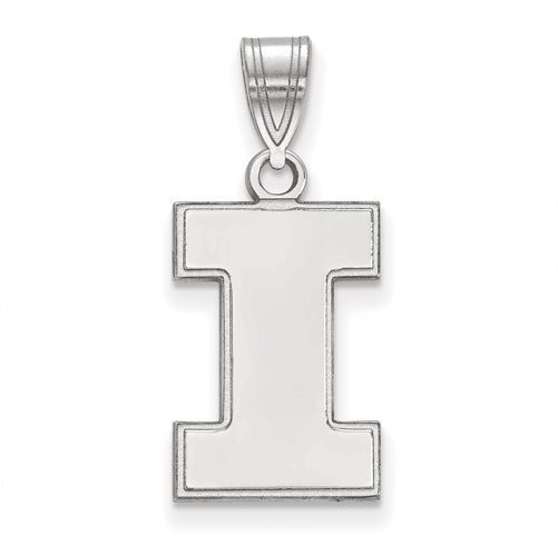 10kw University of Illinois Medium I Pendant