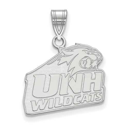 10kw University of New Hampshire Medium Pendant