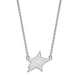 SS NHL Dallas Stars Large Pendant w/Necklace