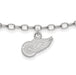 SS NHL Detroit Red Wings Anklet