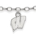 SS University of Wisconsin Anklet