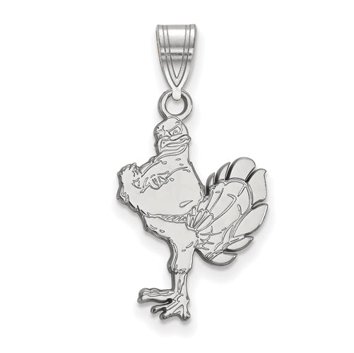 14kw Virginia Tech Large HokieBird Pendant