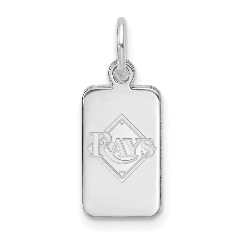  SS MLB Tampa Bay Rays Tag Pendant