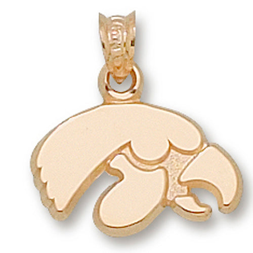 University of Iowa TIGER HAWK 14 kt Gold Pendant