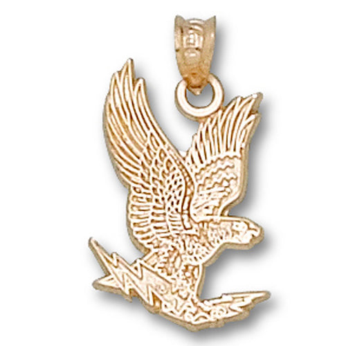 US Air Force Academy FALCON 14 kt Gold Pendant