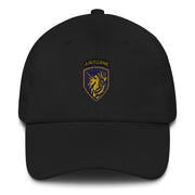A black 13th Airborne Division Hat with the logo on the front.  The hat has a curved visor and an adjustable strap at the back.