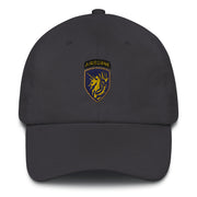 A dark grey 13th Airborne Division Hat with the logo on the front.  The hat has a curved visor and an adjustable strap at the back.