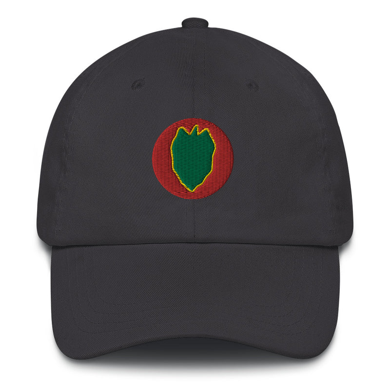 A dark grey 24th Infantry Division Hat with the logo on the front.  The hat has a curved visor and an adjustable strap at the back.