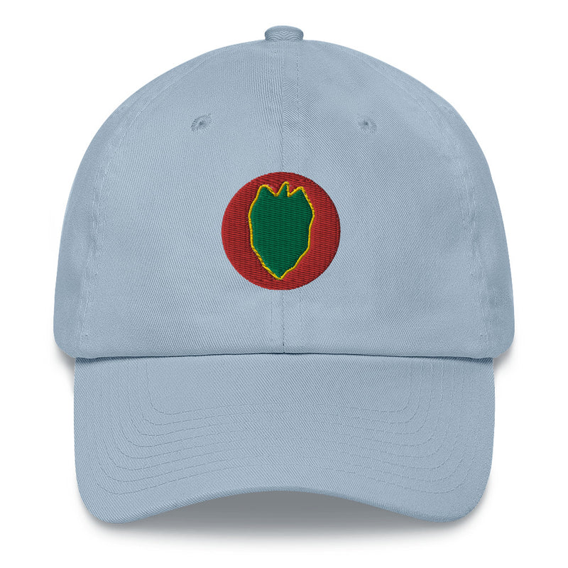 A light blue 24th Infantry Division Hat with the logo on the front.  The hat has a curved visor and an adjustable strap at the back.