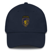 A navy blue 13th Airborne Division Hat with the logo on the front.  The hat has a curved visor and an adjustable strap at the back.