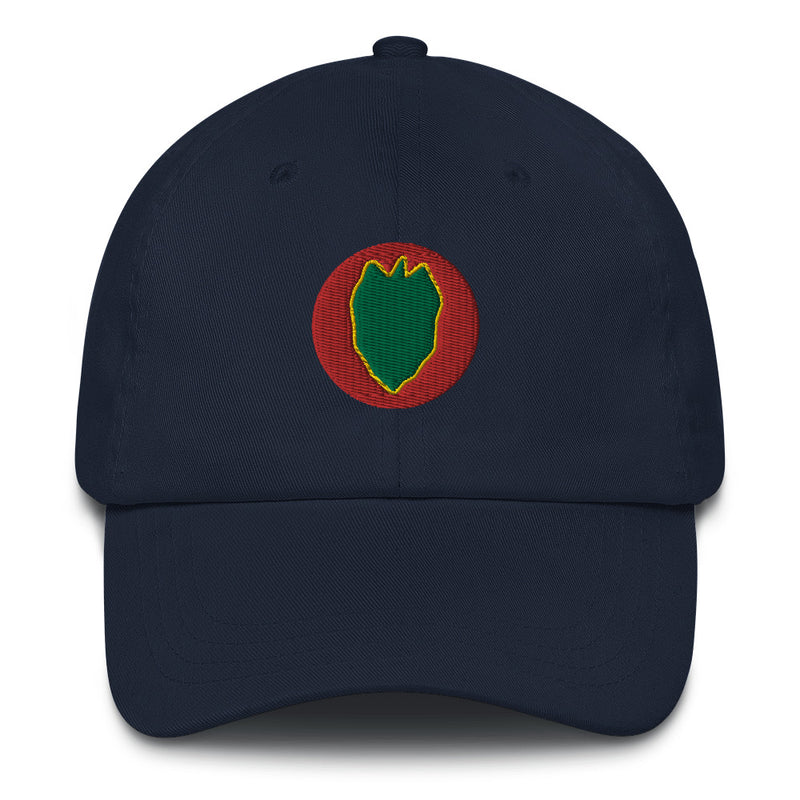 A navy blue 24th Infantry Division Hat with the logo on the front.  The hat has a curved visor and an adjustable strap at the back.