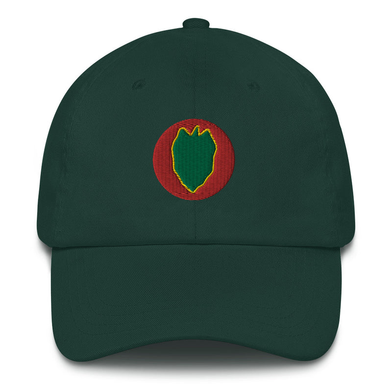 A spruce colored 24th Infantry Division Hat with the logo on the front.  The hat has a curved visor and an adjustable strap at the back.