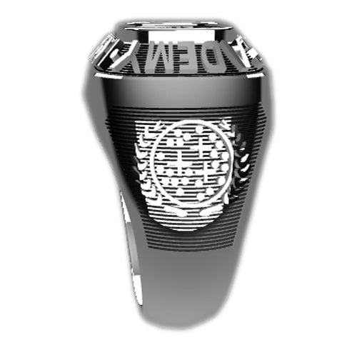 Star Fleet Academy Ring - Left Side.