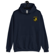 17th Airborne Division Hoodie - Navy